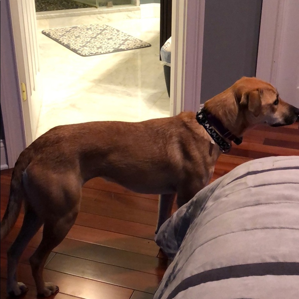 Meet your Posher, Jodi